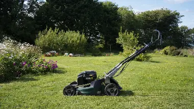 Kosačka na pokosenom trávniku v záhrade pri kvetinovom záhone a stromoch